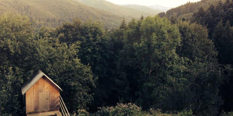 从设计到成型：全面解析冲压与注塑模具制造的核心流程与关键技术