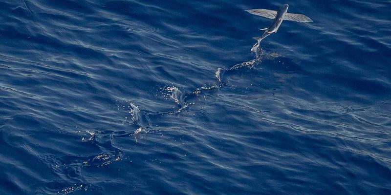 兴达模具：引领模具设计与注塑模具的环保革命，探索绿色加工与废料回收新路径