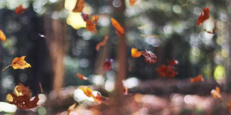 兴达模具：精密加工与机械加工中，标准化与模块化设计如何大幅降低制造成本与周期