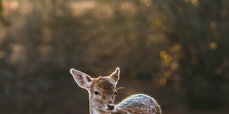 兴达模具：精密加工技术如何重塑现代模具制造新标杆