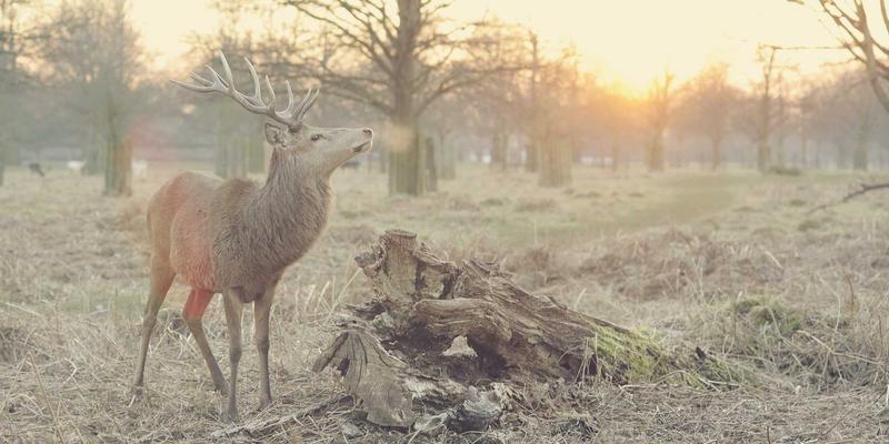 冲压模具制造新高度：多腔模具设计要点与生产效率优化全解析