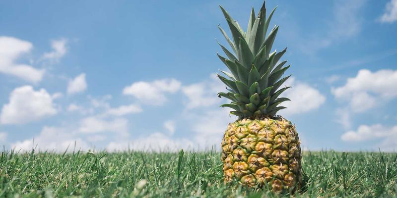 微发泡注塑成型（MuCell）技术对模具制造的特殊要求：兴达模具的实践与挑战