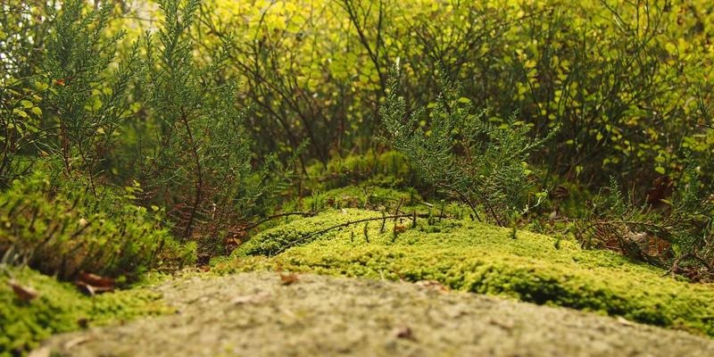 模具制造33：解析冲压与注塑模具的技术核心与行业标杆