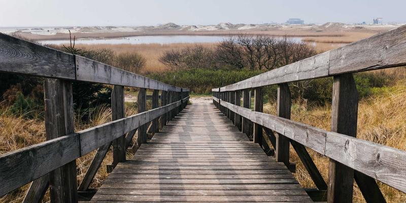 模具制造三大核心解析:从设计到冲压与精密加工的协同之道