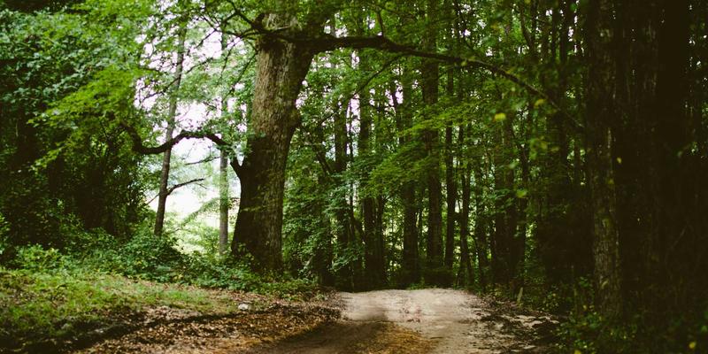 模具表面强化技术：PVD与CVD涂层如何提升模具寿命与精密加工性能