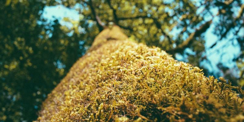 汽车轻量化浪潮下，冲压模具与注塑模具的设计制造新挑战