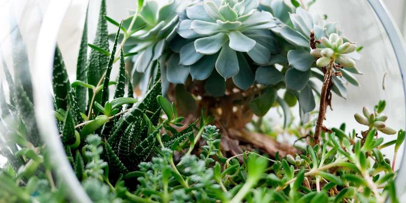 注塑模具与冲压模具的智能变革：物联网与大数据如何重塑模具设计与制造