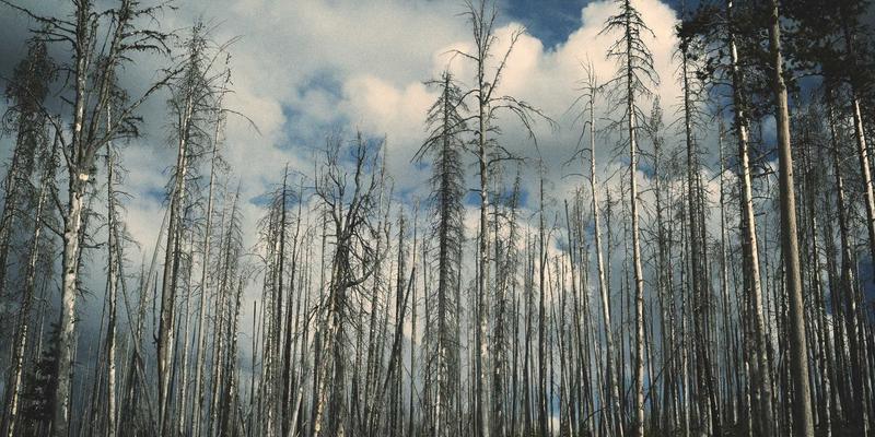 注塑模具与冲压模具的逆向工程：从实物扫描到CAD模型重建的关键技术解析