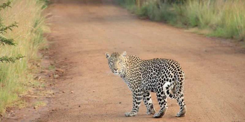 高速铣削如何革新模具制造？提升冲压模具加工效率与表面精度的关键技术解析