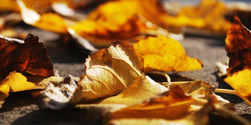 高速铣削技术如何革新复杂曲面模具制造？兴达模具的工艺参数优化实践